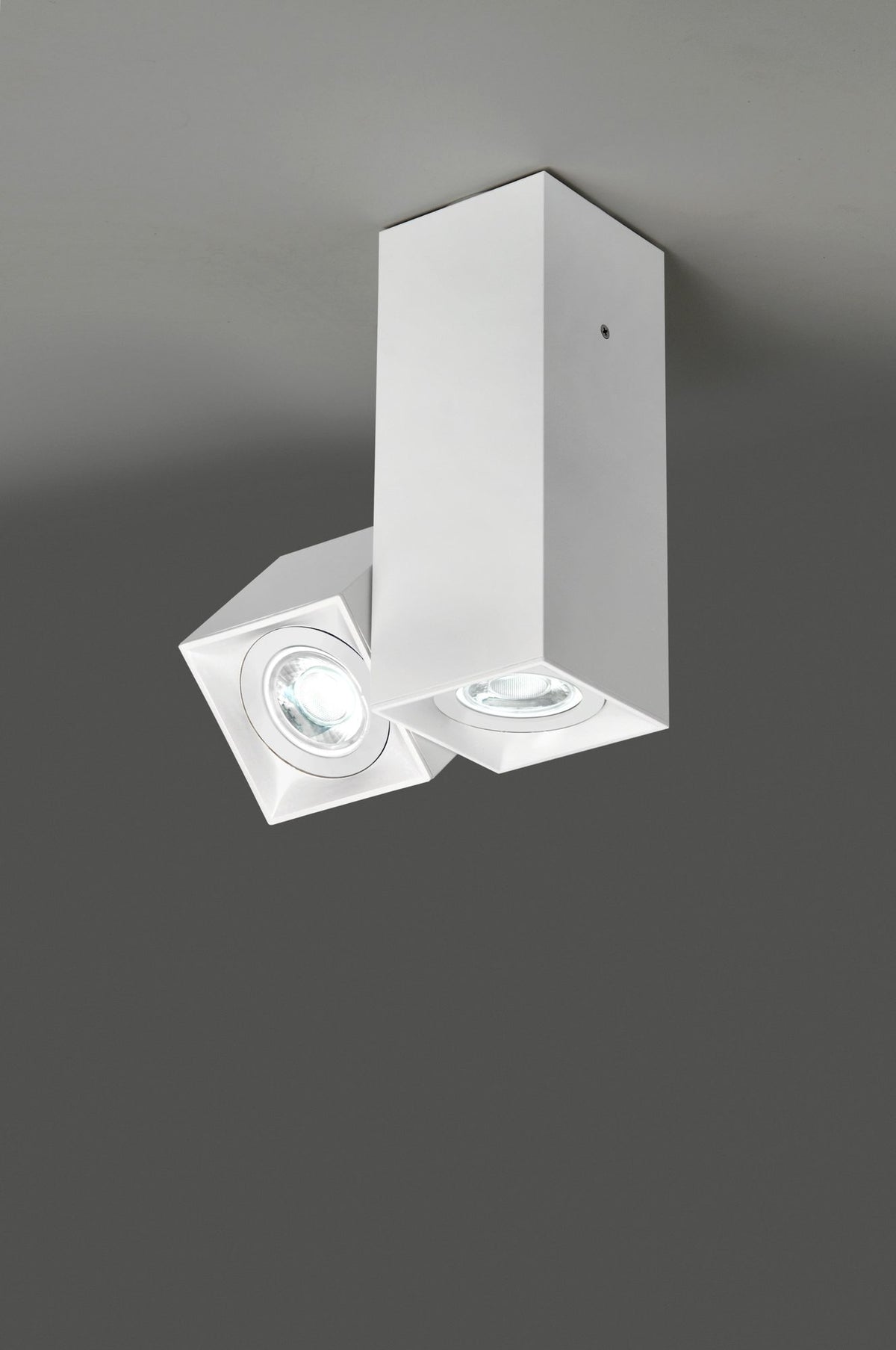 Plafón técnico de 2 luces GU10 – Milan Dau 80 – perfil de aluminio extruido de 80 mm, 3 acabados