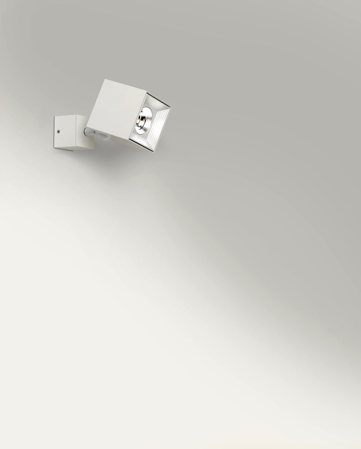 Aplique o plafón técnico con LED integrado DOB – Milan Dau 80 – perfil de aluminio extruido de 80 mm, 3 acabados
